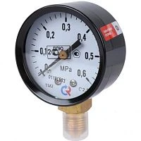 ТМ-210Р.00(0-25)МРа.M12x1,5.2,5.ГАЗ.(ч/к) УТ000018106