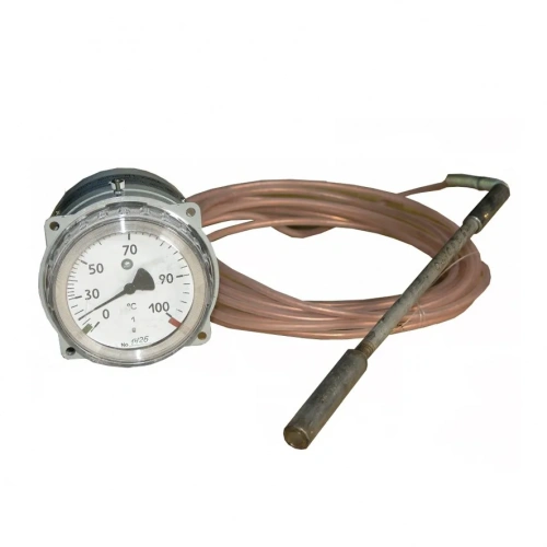 ТГП-100Эк-М1-(0...+150)°С-1,0-10-315 УТ000018939