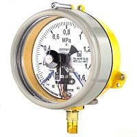 ДМ2005ф Сг1Ехd 1 МПа кл.1,5 исп IV УТ000019404