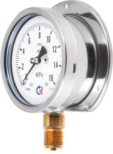 ТМ-520РКТ.00(0-25)MPa.M20х1,5.1,0 Зад. Фланец УТ000015041